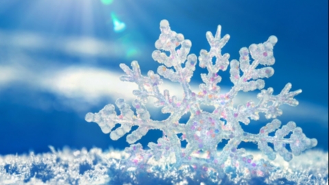 Самое время насладиться зимой!